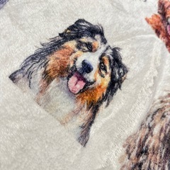 期限今年まで！犬種ブランケットの画像
