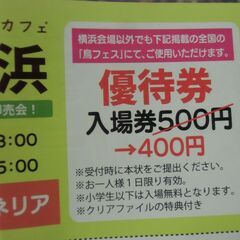 ●無料● 2025年 2026年 鳥フェス 千葉 浅草 静岡 川越 優待券 / ことりカフェ上野本店 カフェ利用割引券 差し上げます。の画像