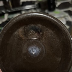 値下げ中カブトムシ、ヘラクレスオオカブトペアの画像