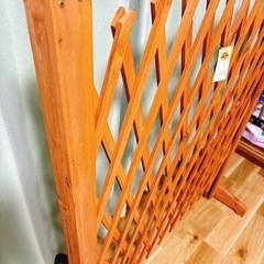 ガーデニング🌸目隠しなど…ラティス の画像