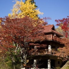 写友会メンバー募集です。