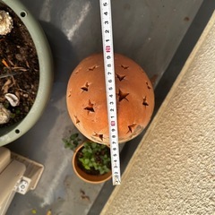 素焼き テラコッタ ツリー 清掃済  美品 の画像