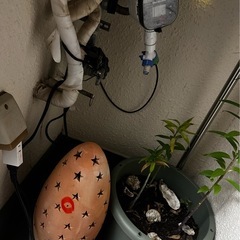 素焼き テラコッタ ツリー 清掃済  美品 の画像