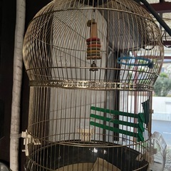 金属製鳥かご黒・金色の画像