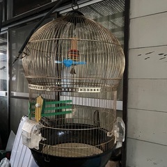 金属製鳥かご黒・金色の画像