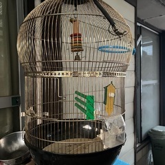 金属製鳥かご黒・金色の画像