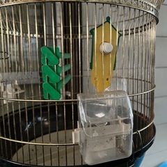 金属製鳥かご黒・金色の画像