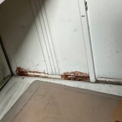 【お取引中🐱鈴木様】イナバ倉庫の画像