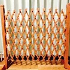 ガーデニング🌸目隠しなど…ラティス の画像