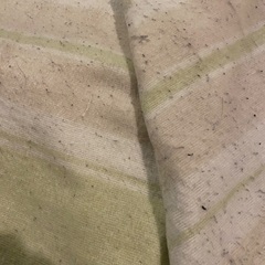 【お話し中に付き受付終了】電気敷きシーツ　通電確認済みの画像