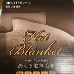【お話し中に付き受付終了】電気敷きシーツ　通電確認済みの画像