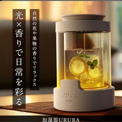 【未使用】加湿器の画像