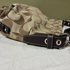 大きなバッグの画像