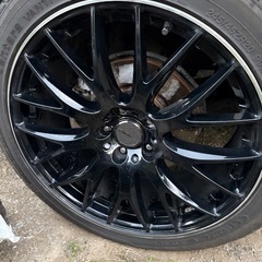 Rays ホムラの画像