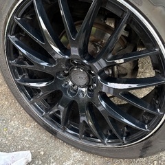 Rays ホムラの画像