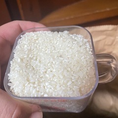 【数量限定】令和7年産きぬむすめ　お米玄米30kg🌾白米でも販売できます🍚の画像