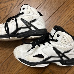 22.5cm バッシュ　バスケットボールの画像