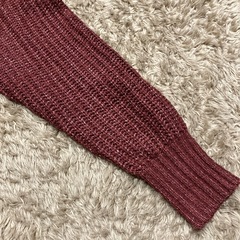 レディース　ニット　ニットワンピ　イーハイフンワールドギャラリー　赤　レッド　フリーサイズの画像