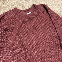 レディース　ニット　ニットワンピ　イーハイフンワールドギャラリー　赤　レッド　フリーサイズの画像