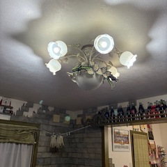 可愛いシャンデリア
の画像
