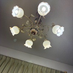 可愛いシャンデリア
の画像