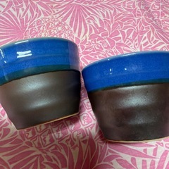 そば猪口ふたつの画像