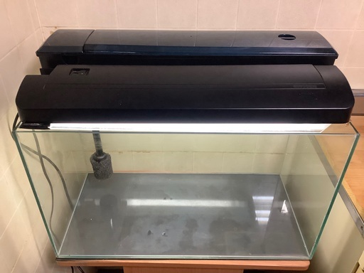水槽セット(水槽、濾過器、照明、水槽台、その他色々) (Tama) 塚本の