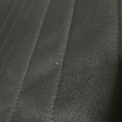 マットレスと一体型ダブルベッド黒の画像