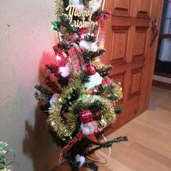 クリスマスツリーの画像