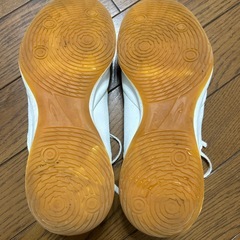 　24.5cm サッカー　フットサルシューズの画像
