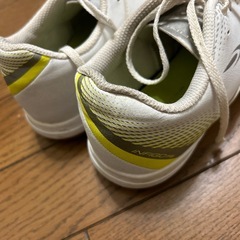 　24.5cm サッカー　フットサルシューズの画像