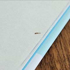 ようこそ! ポケモンカフェ ピカブイのまぜまぜアラモードの画像