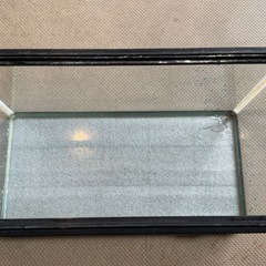 60cm水槽の画像