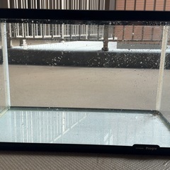 60cm水槽の画像