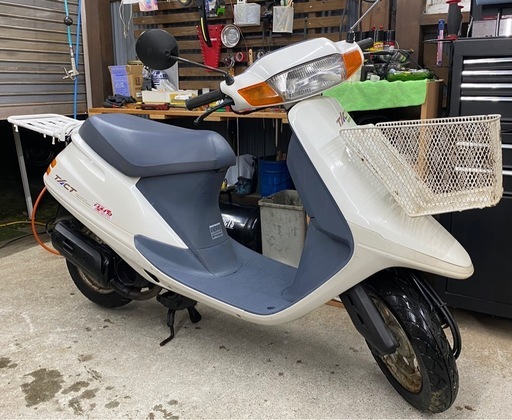 HONDA タクト　ベーシック　速いです　AF24 美車　実動　書類付き　走る止まる曲がるOK タクト50 TACT 原付　スクーター　2ストローク