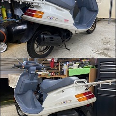 HONDA タクト　ベーシック　速いです　AF24 美車　実動　書類付き　走る止まる曲がるOK タクト50 TACT 原付　スクーター　2ストロークの画像