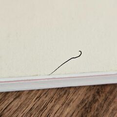 すみっコぐらし　このままでいいんです よこみぞゆり／絵と文の画像