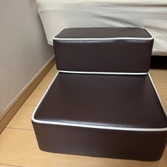 犬の専門家監修の画像