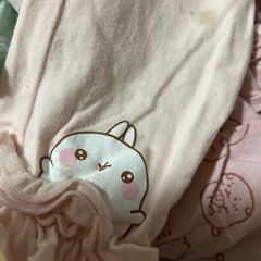 ゅぃたむさんの画像