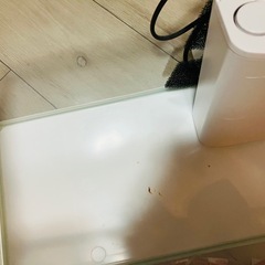 フィルター付き水槽の画像