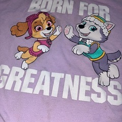 パウパトロールTシャツ✴︎100の画像