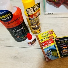 フィルター付き水槽の画像