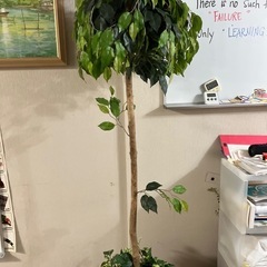 フェイクグリーン　造花の画像