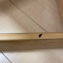 【取引中②】椅子　　中古の画像