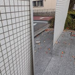 リフェクスミラー フィルム 割れない鏡 ミラー 姿見 全身ミラー 超軽量 約100cm×約150cmの画像