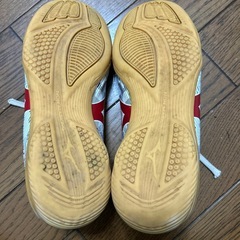 22cm MIZUNO MONARCIDA NEO フットサルシューズの画像