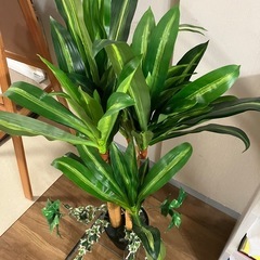 フェイクグリーン　造花の画像