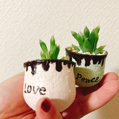 多肉植物2個セット　ハンドメイドリメイク鉢の画像