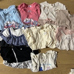 ゅぃたむさんの画像