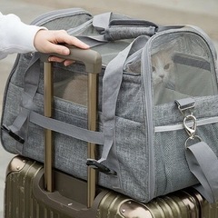 ペット用キャリーバッグ　折りたたみ可の画像